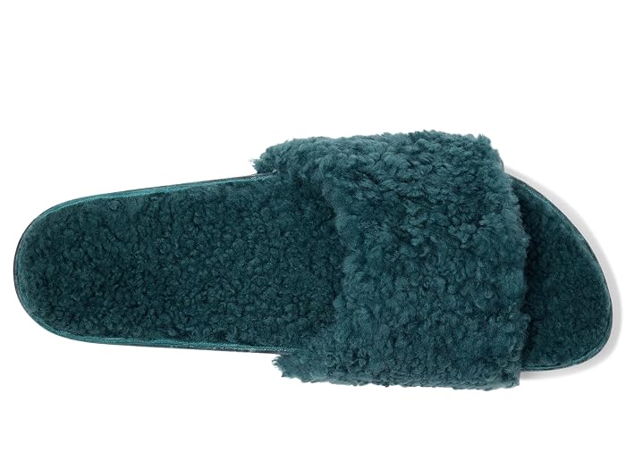 Fleks Cito Slides - Image 2