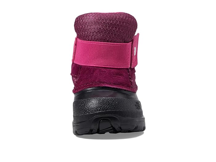 The North Face Kids Alpenglow II (Toddler) - Image 2