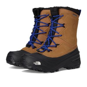 The North Face Kids Alpenglow V Waterproof (Youth)