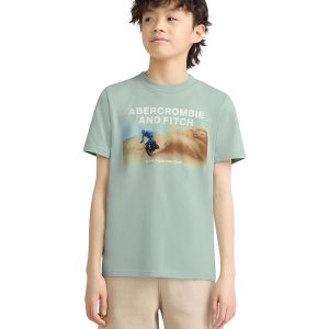 abercrombie kids Dune Biker Tee (Big Kids)