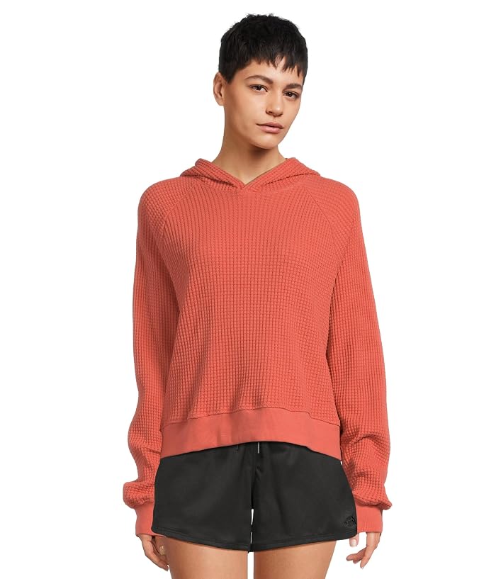 The North Face Chabot Hoodie