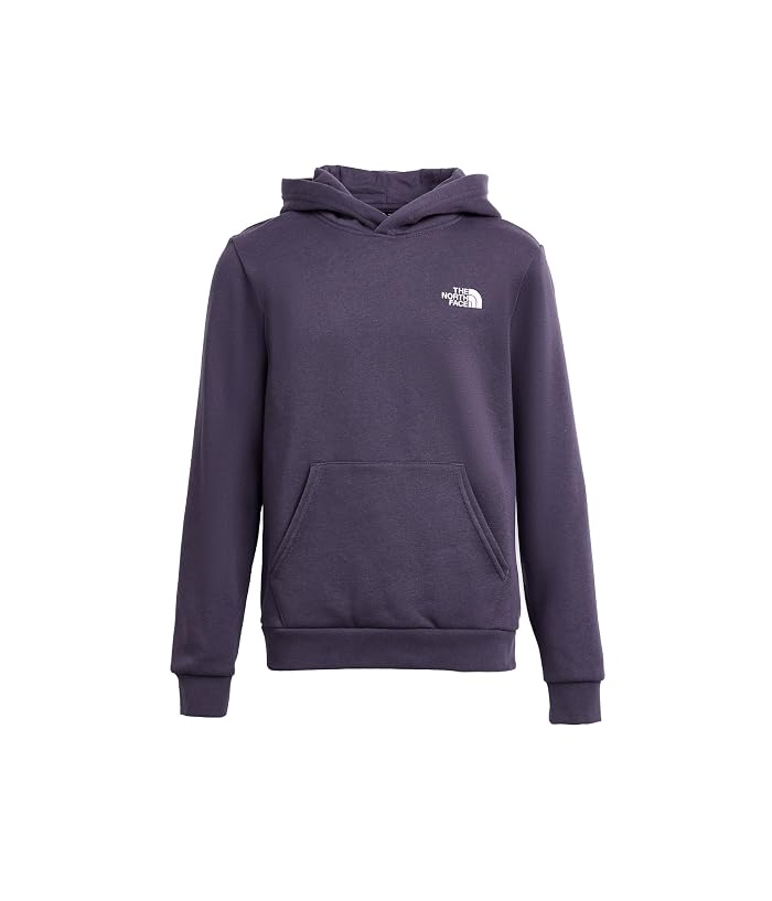 The North Face Kids Evolution Simple Dome Pullover Hoodie (Little Kid/Big Kid) - Image 4