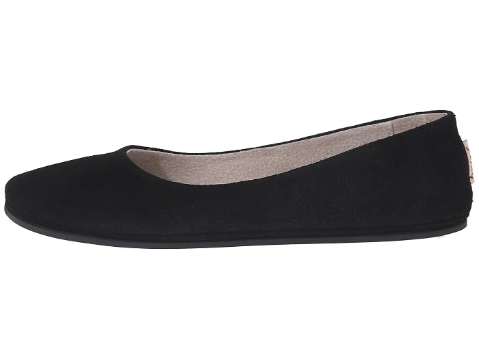 French Sole Sloop