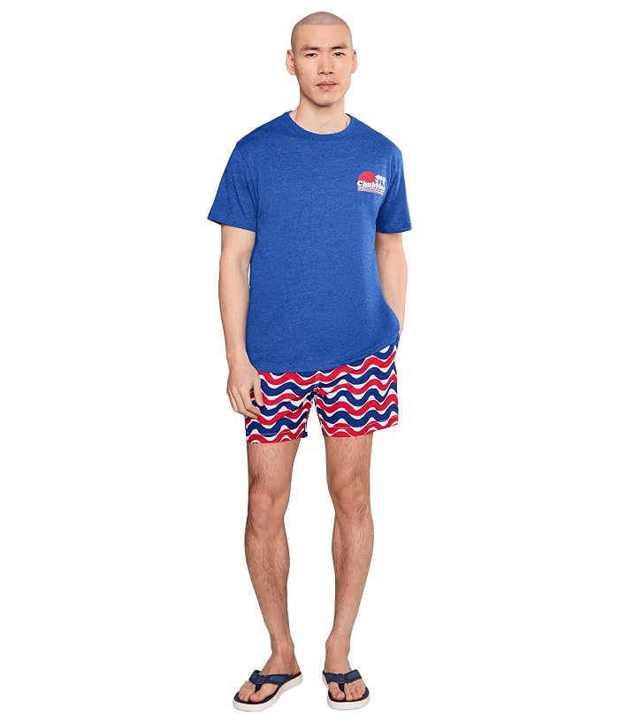 Chubbies The Doodle Dances 5.5" (Classic Lined Swim Trunks) - Image 2