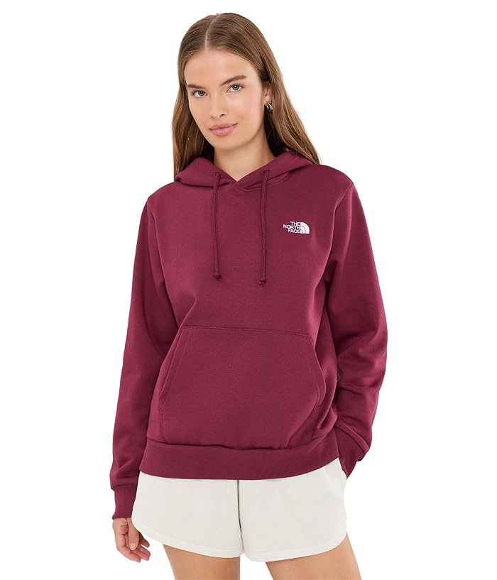The North Face Evolution Simple Dome Regular Hoodie