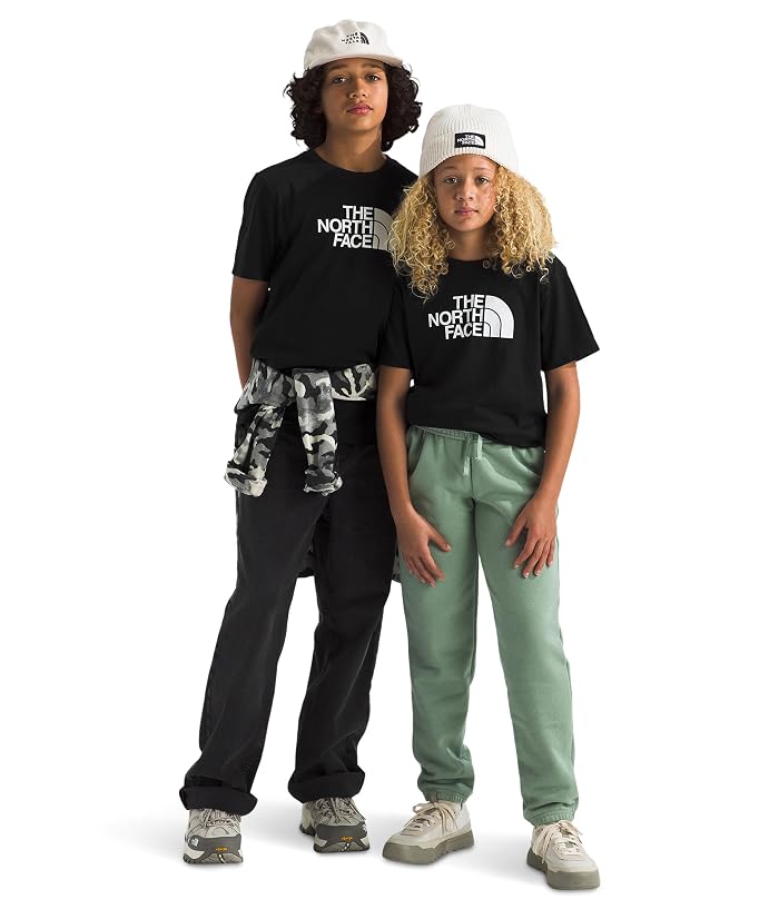 The North Face Kids Evolution Half Dome Short Sleeve Tee (Little Kid/Big Kid) - Image 3
