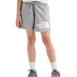 The North Face Kids Evolution Half Dome 5" Shorts (Little Kid/Big Kid)
