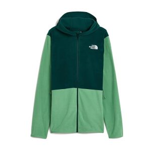 The North Face Kids Glacier Full Zip Hoodie (Little Kid/Big Kid)