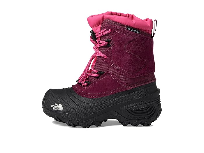 The North Face Kids Alpenglow V Waterproof (Toddler/Little Kid/Big Kid) - Image 4