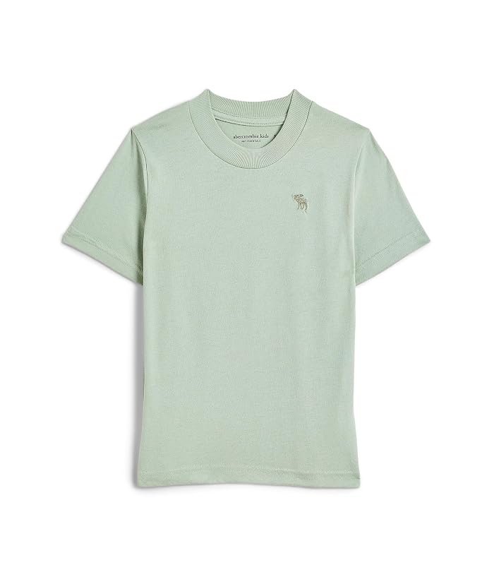 abercrombie kids Short Sleeve Essential T-Shirt (Little Kid/Big Kid)