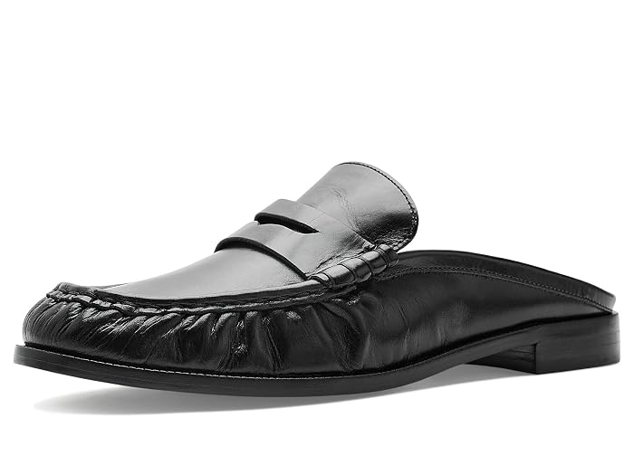 Bernardo Tilda Mule