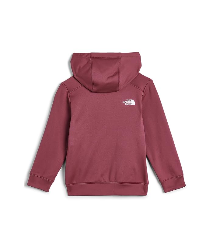 The North Face Kids TNF™ Performance Fleece Full Zip Hooded Jacket (Little Kid/Big Kid) - Image 2