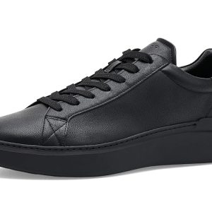 ALDO Toddy