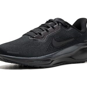 Nike Pegasus 41