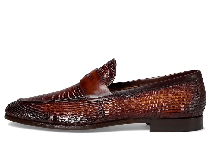 Magnanni Vicente - Image 4