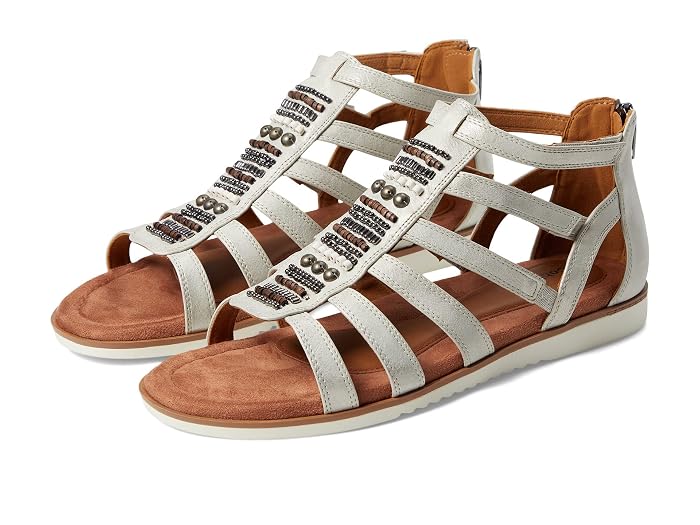 Cobb Hill Zion Gladiator