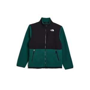 The North Face Kids Denali Jacket (Little Kid/Big Kid)