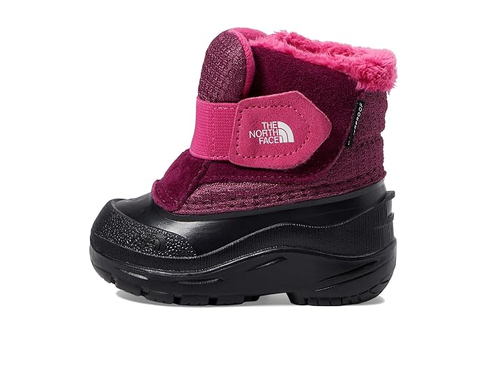 The North Face Kids Alpenglow II (Toddler) - Image 4
