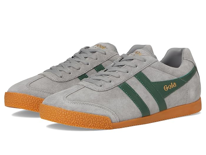 Gola Harrier