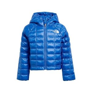 The North Face Kids ThermoBall Hooded Jacket (Toddler)