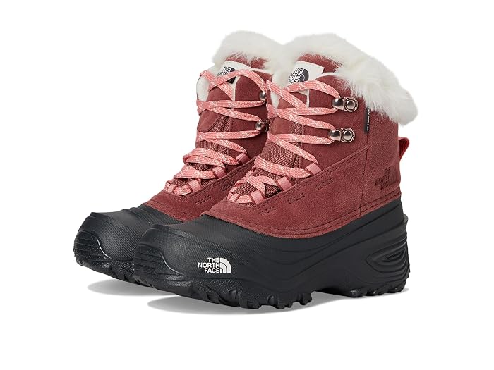 The North Face Kids Shellista V Lace Waterproof (Youth)