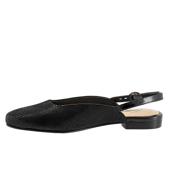 Trotters Holly - Image 2