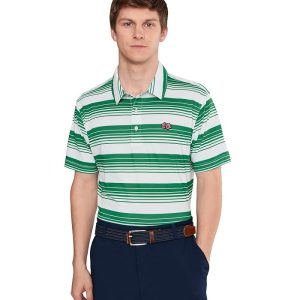 Chubbies Chubbies The Hole In One Hue (range Polo)