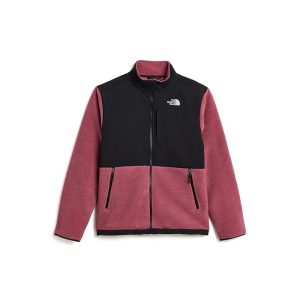 The North Face Kids Denali Jacket (Little Kid/Big Kid)