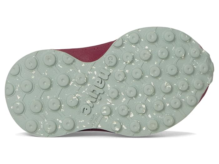 Native Shoes Kids Robbie Roam (Toddler) - Image 3