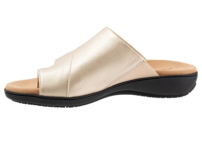 Trotters Regina - Image 2