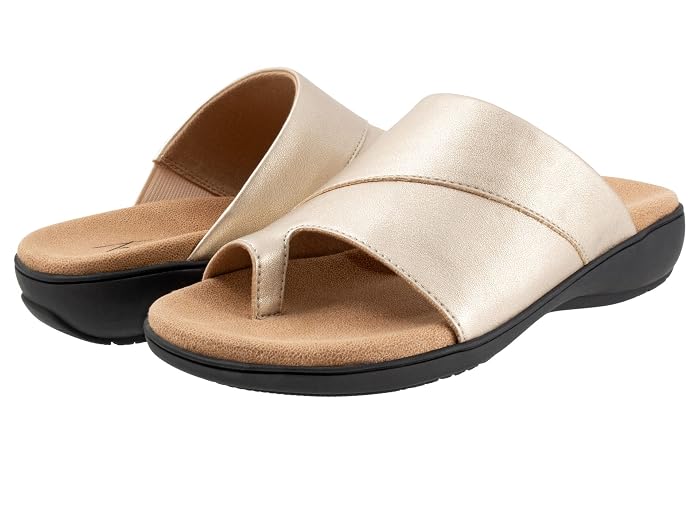 Trotters Regina