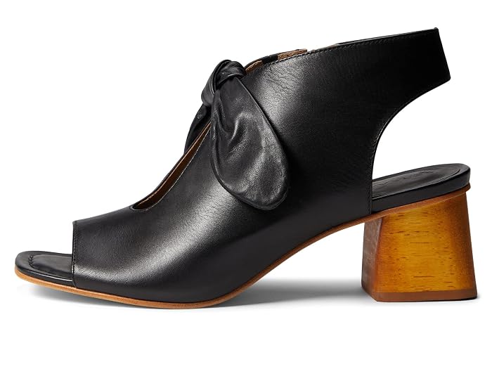 Bernardo Lizzie - Image 4