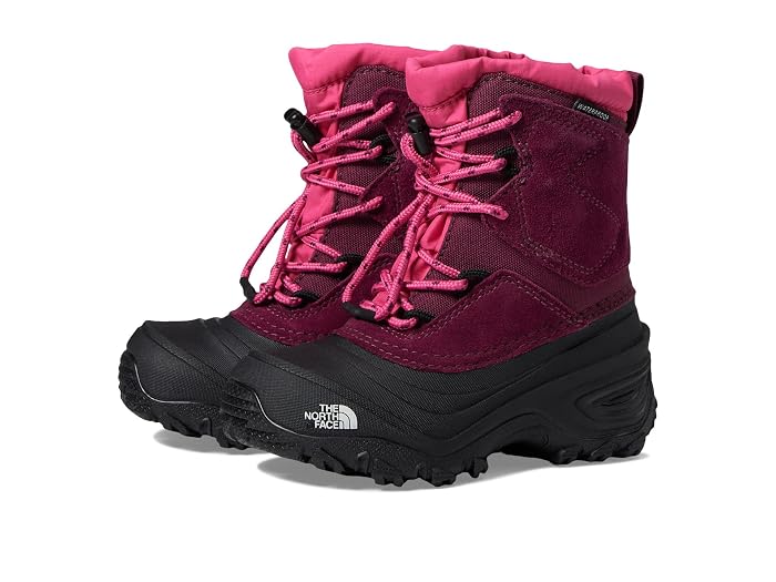 The North Face Kids Alpenglow V Waterproof (Toddler/Little Kid/Big Kid)