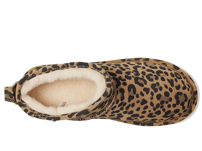 Bearpaw Shorty Exotic - Image 2