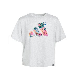 adidas Kids Graphic Heather Tee (Big Kid)