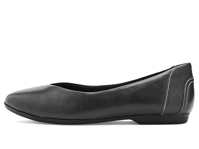 Trotters Iris - Image 4