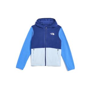 The North Face Kids Glacier Full Zip Hoodie (Toddler)