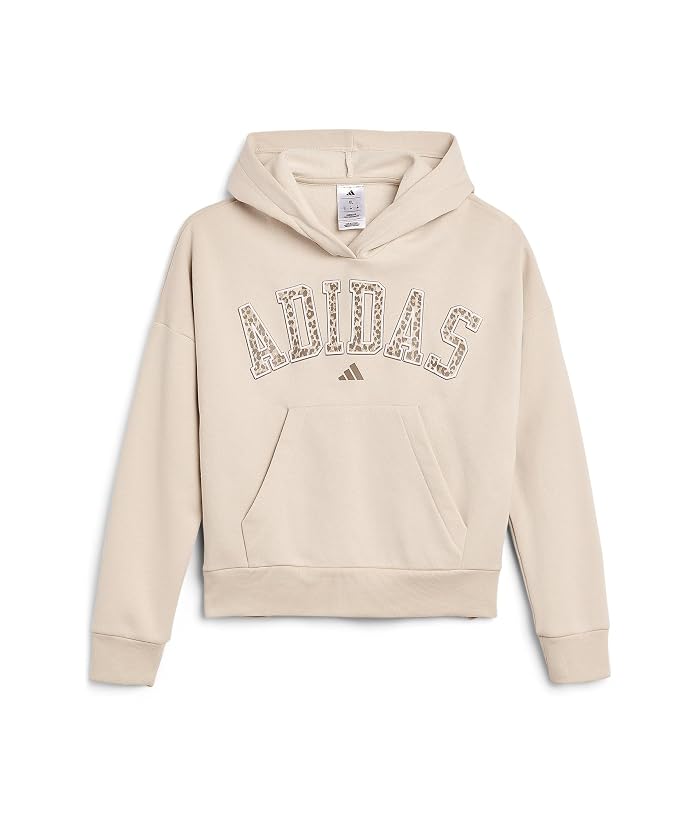 adidas Kids Front Graphic Fleece Hooded Pullover (Big Kid)