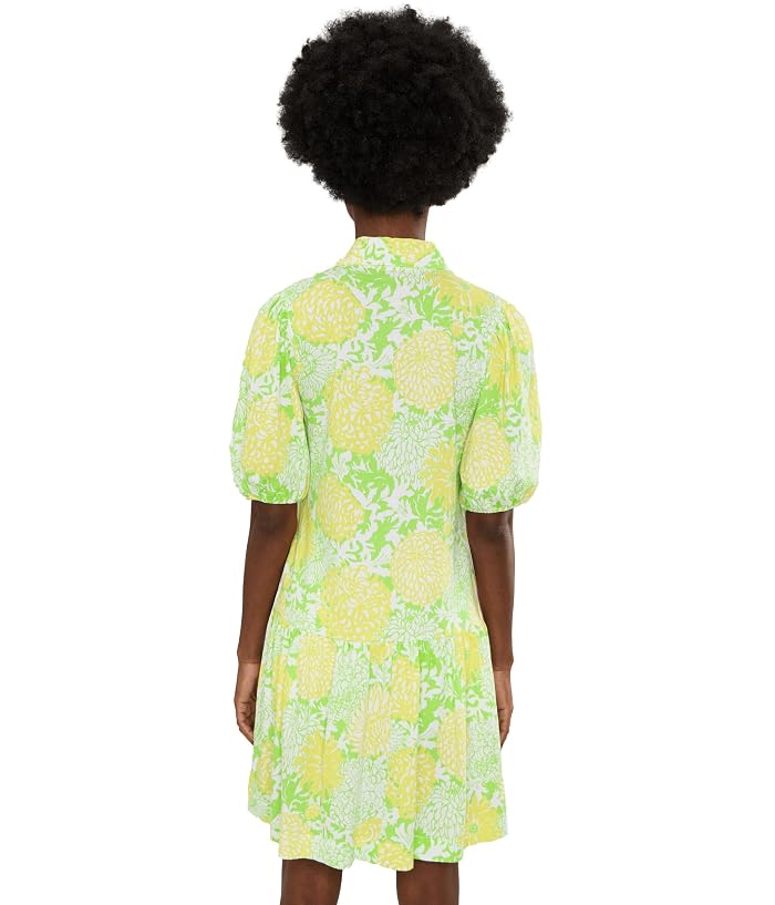 Lilly Pulitzer Bingley Dress - Image 4