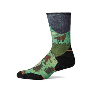 Smartwool Trail Run Targeted Cushion Neature Print Crew Socks