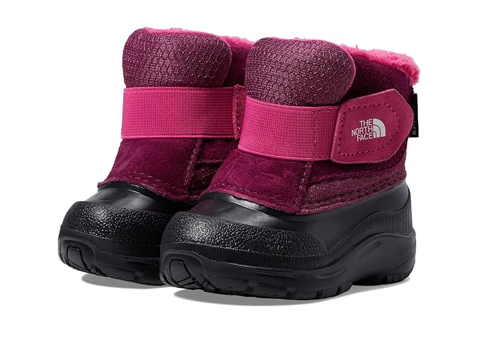The North Face Kids Alpenglow II (Toddler)