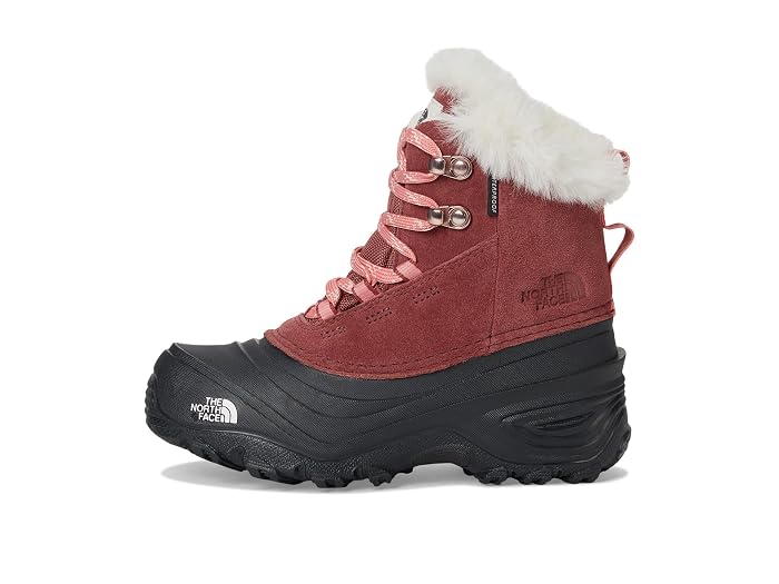 The North Face Kids Shellista V Lace Waterproof (Youth) - Image 4