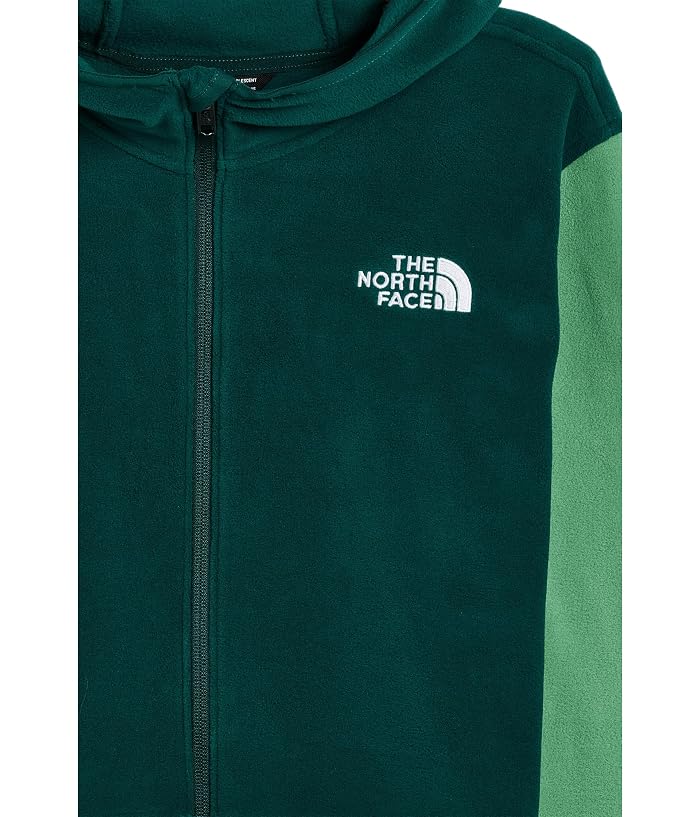 The North Face Kids Glacier Full Zip Hoodie (Little Kid/Big Kid) - Image 3