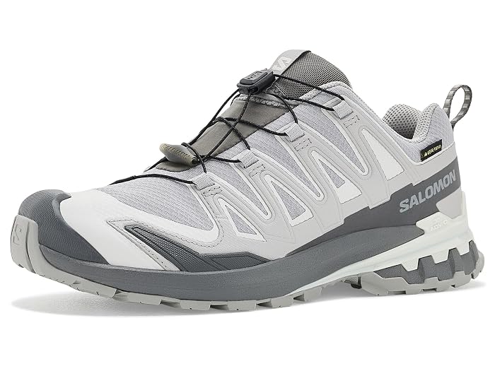 Salomon XA Pro 3D V9 GORE-TEX