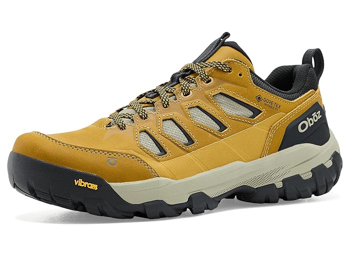Oboz Sawtooth X Pro Low GTX