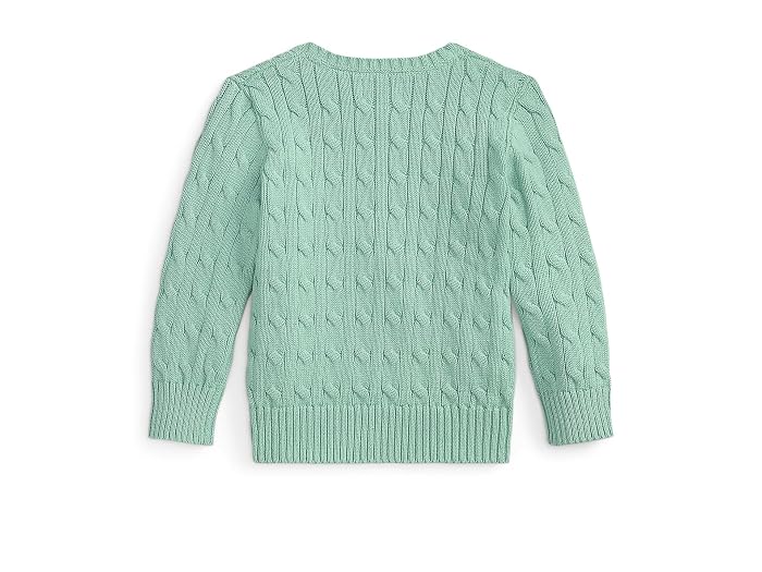 Polo Ralph Lauren Kids Cable-Knit Cotton Sweater (Toddler/Little Kid/Big Kid) - Image 2
