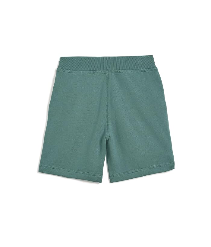 Burberry Kids Banks Boys Shorts (Little Kids/Big Kids) - Image 2