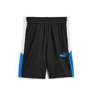 PUMA Kids Recess Mesh Shorts (Big Kid)