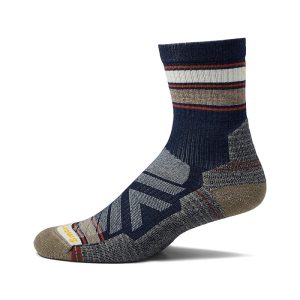 Smartwool Performance Hike Light Cushion Striped Mid Crew