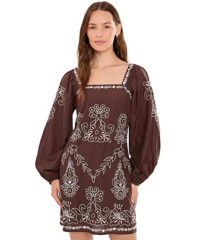 Adrianna Papell Embroidered Dress